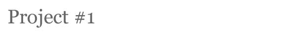 project01