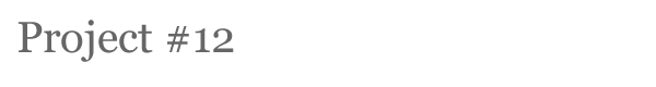 project12