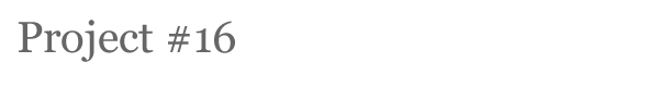Project16